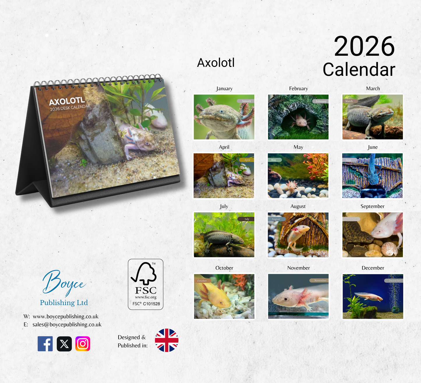 Axolotl Desk Calendar 2026-2027