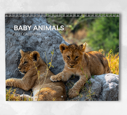 Baby Animals Calendar 2027