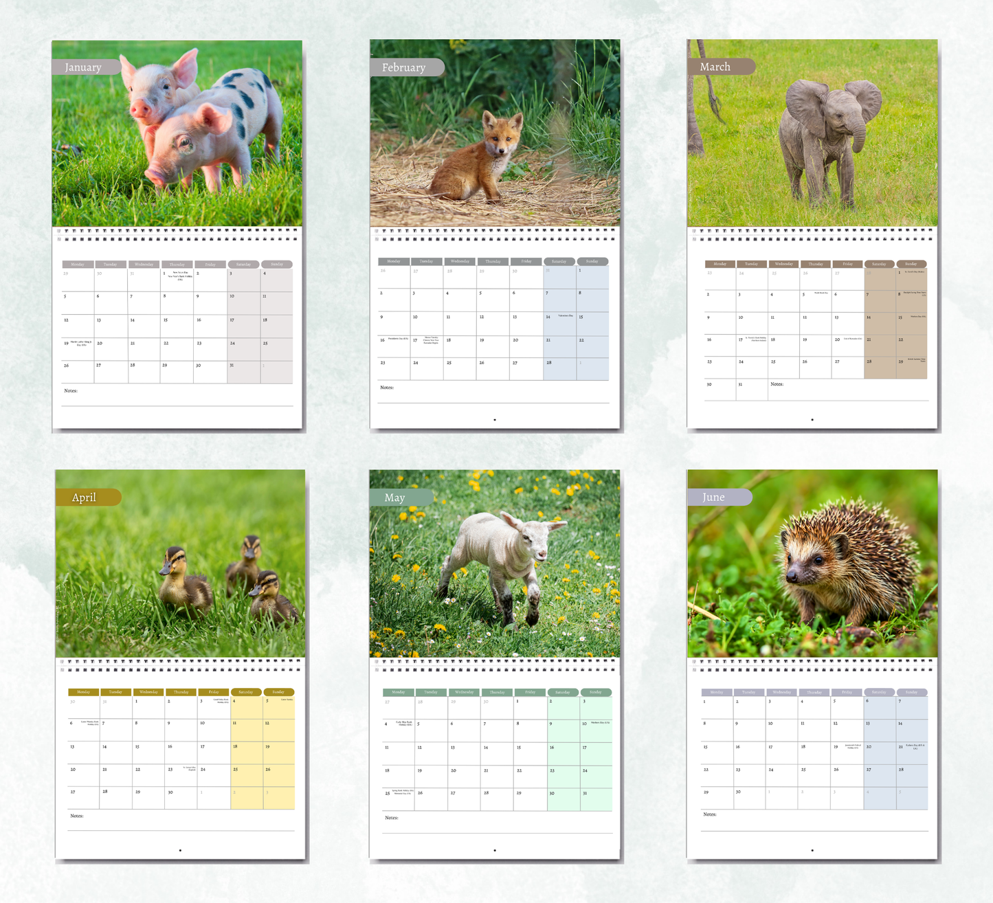 Baby Animals Calendar 2027