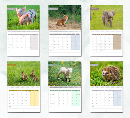 Baby Animals Calendar 2027