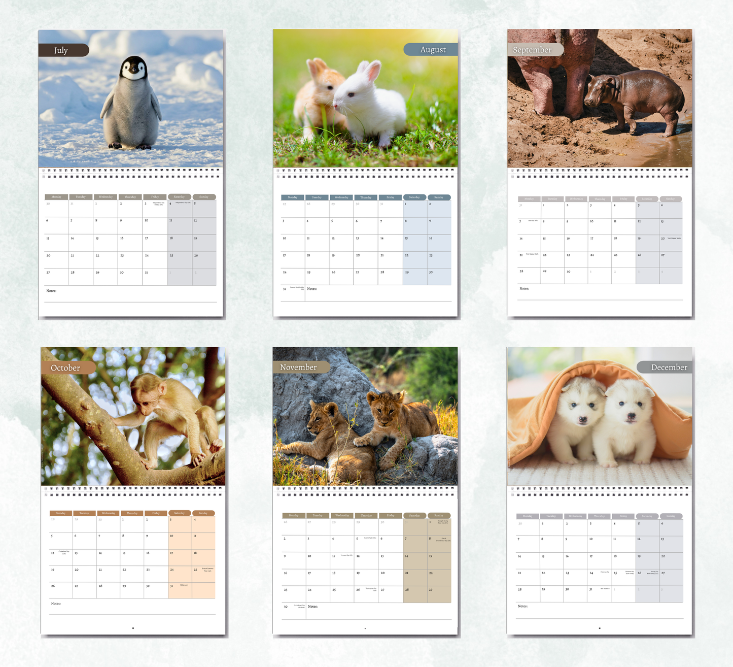 Baby Animals Calendar 2027
