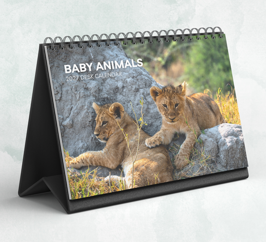 Baby Animals Desk Calendar 2027-2028