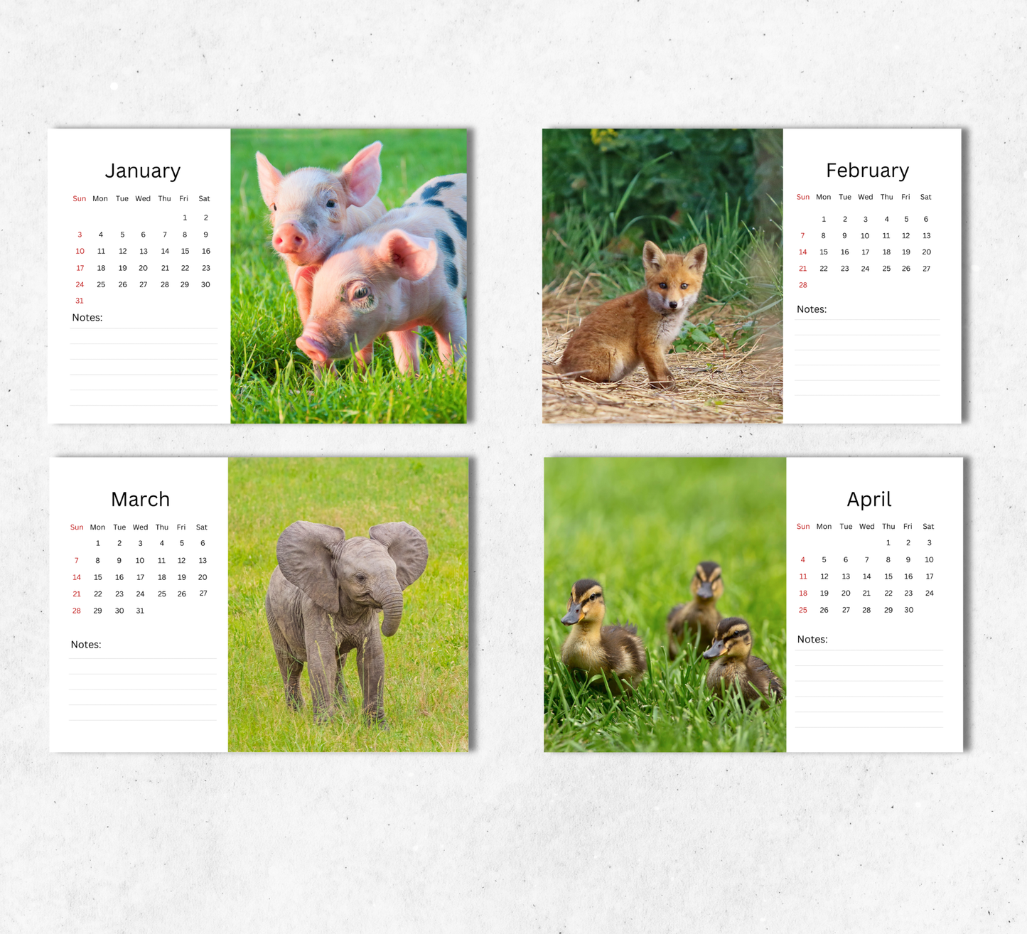 Baby Animals Desk Calendar 2027-2028