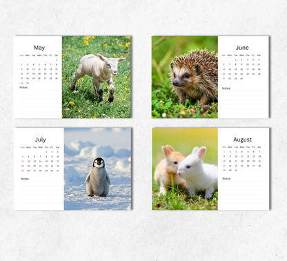 Baby Animals Desk Calendar 2027-2028
