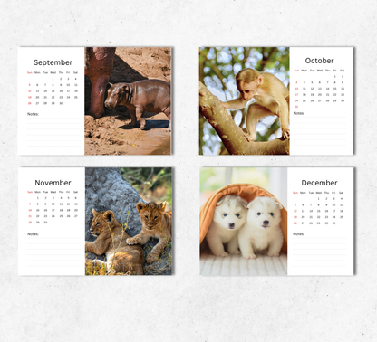 Baby Animals Desk Calendar 2027-2028