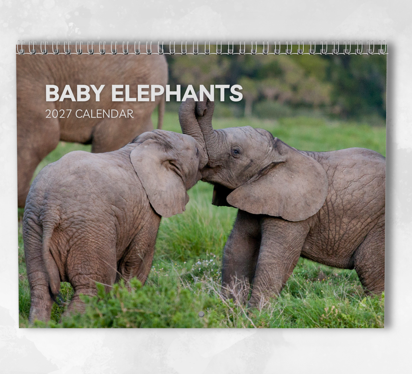 Baby Elephants Calendar 2027