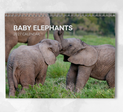 Baby Elephants Calendar 2027