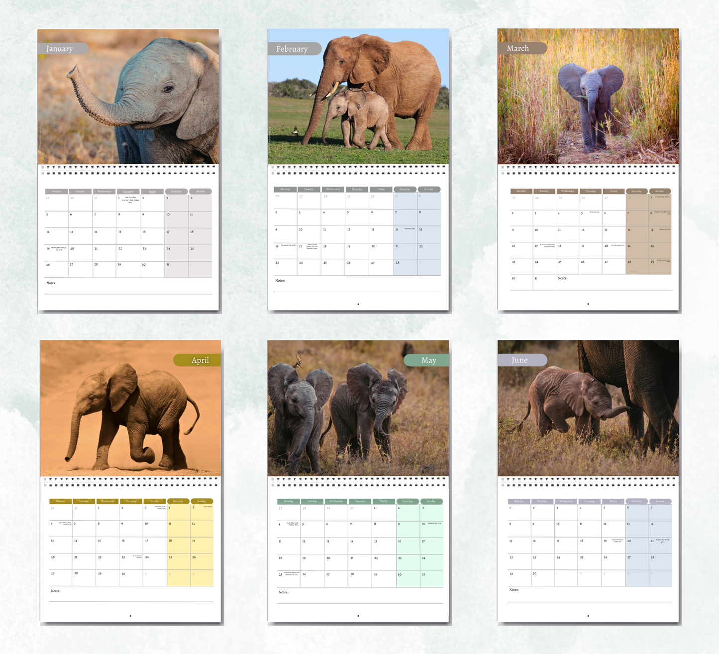 Baby Elephants Calendar 2027