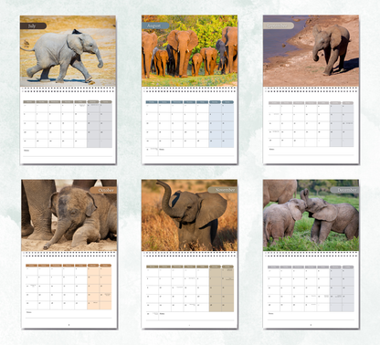 Baby Elephants Calendar 2027