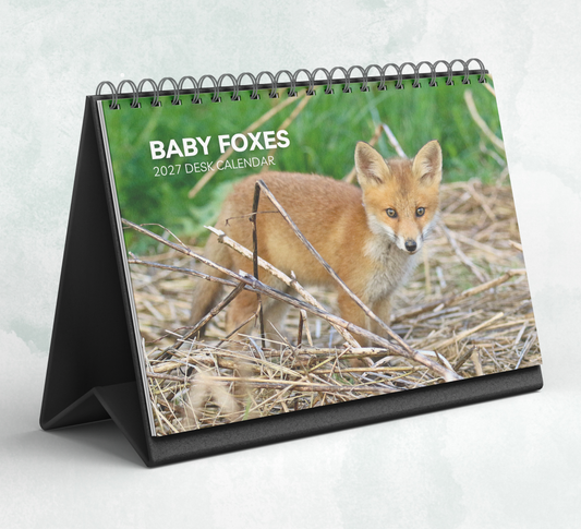 Baby Foxes Desk Calendar 2027-2028