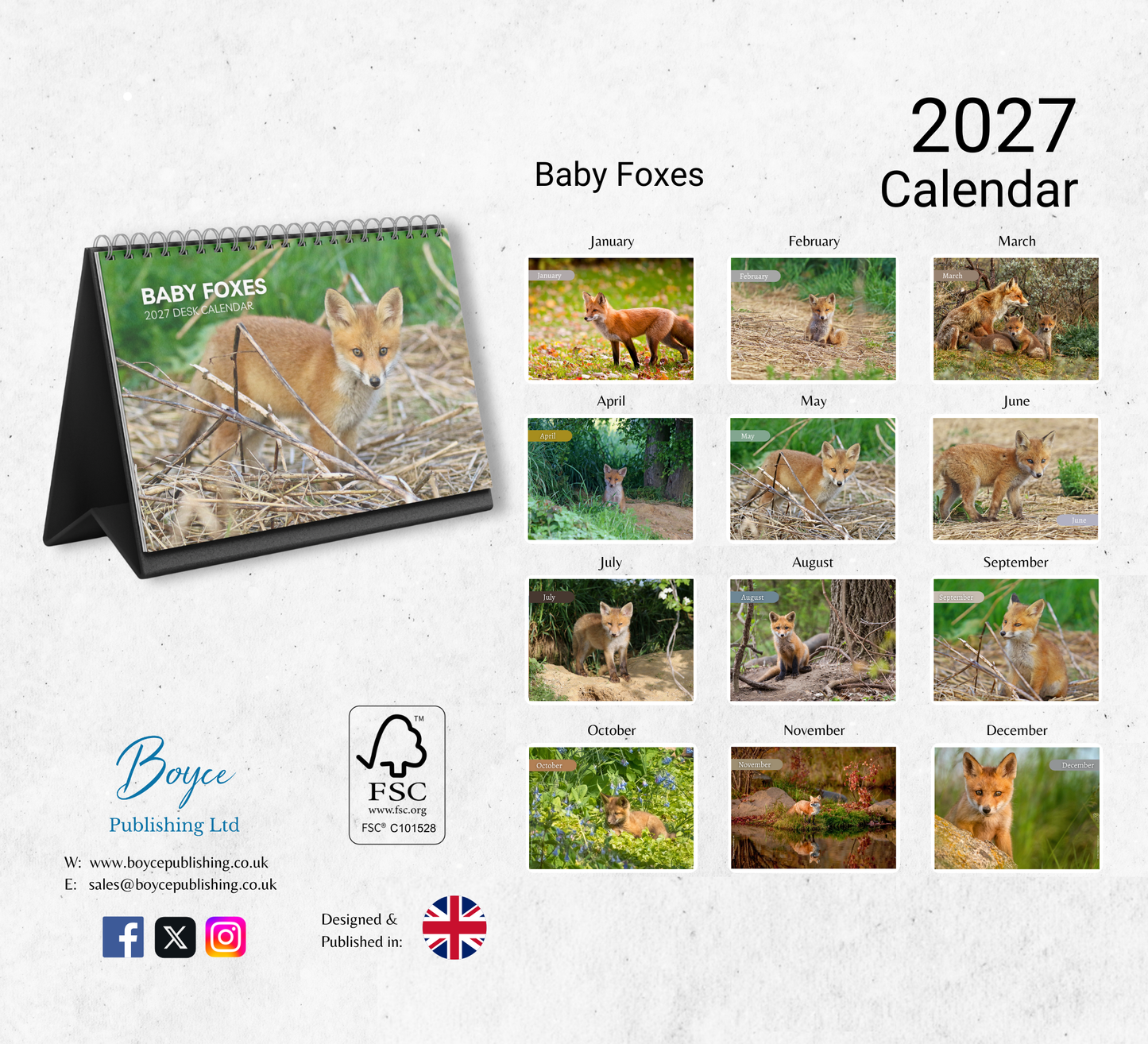 Baby Foxes Desk Calendar 2027-2028