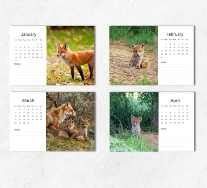 Baby Foxes Desk Calendar 2027-2028