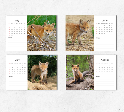 Baby Foxes Desk Calendar 2027-2028