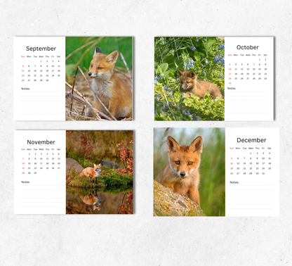 Baby Foxes Desk Calendar 2027-2028