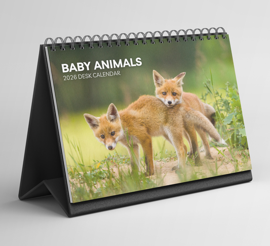Baby Animals Desk Calendar 2026-2027