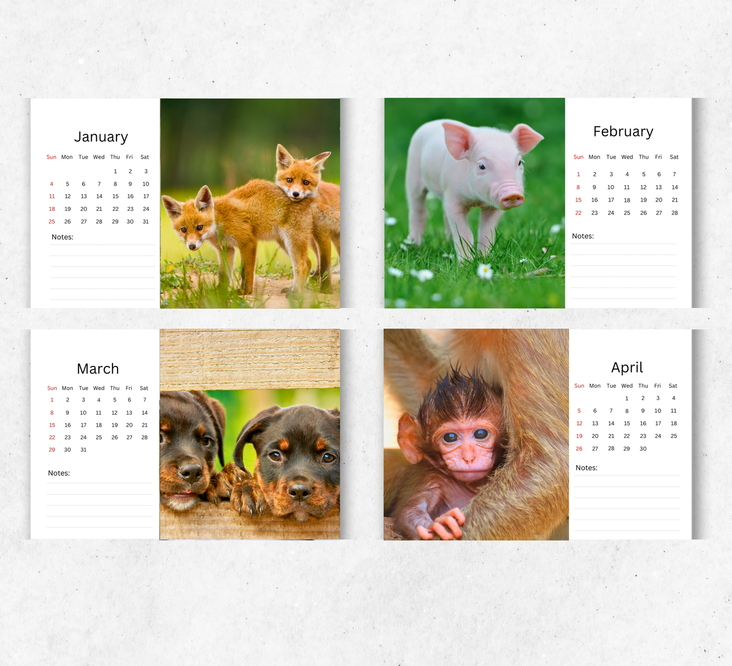 Baby Animals Desk Calendar 2026-2027