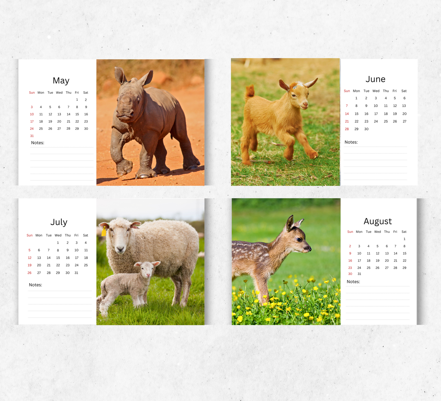 Baby Animals Desk Calendar 2026-2027