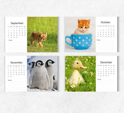 Baby Animals Desk Calendar 2026-2027