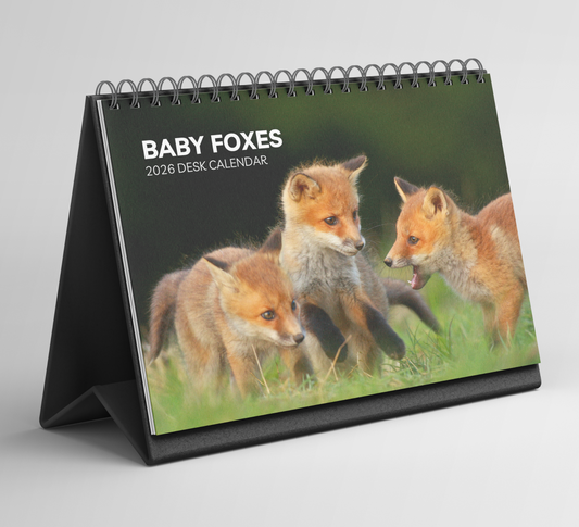 Baby Foxes Desk Calendar 2026-2027