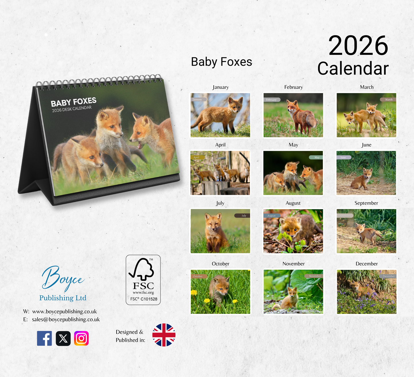 Baby Foxes Desk Calendar 2026-2027