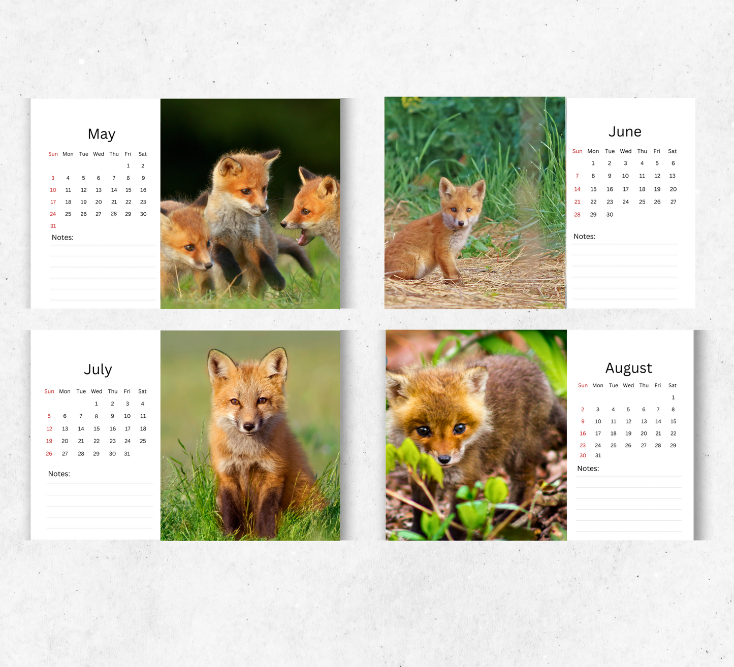 Baby Foxes Desk Calendar 2026-2027