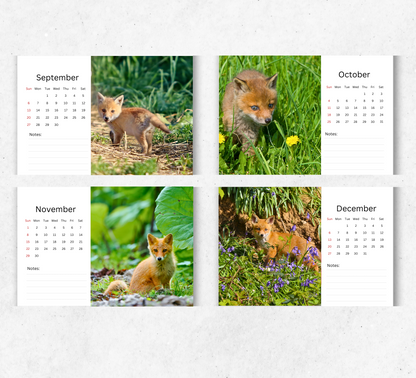 Baby Foxes Desk Calendar 2026-2027