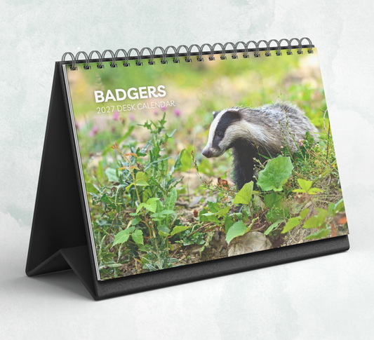 Badger Desk Calendar 2027-2028