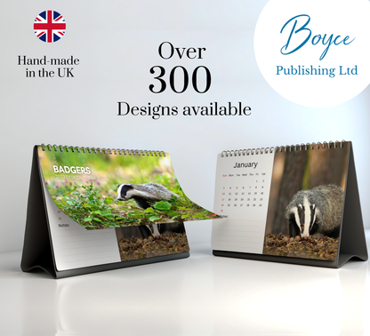 Badger Desk Calendar 2027-2028
