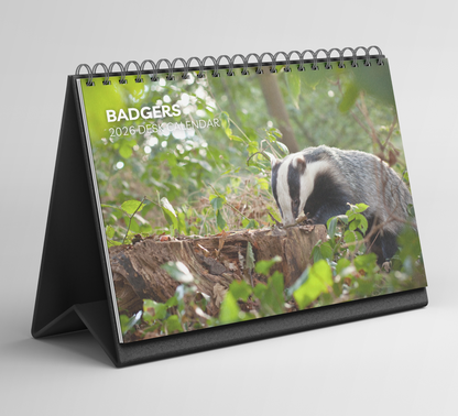 Badger Desk Calendar 2026-2027