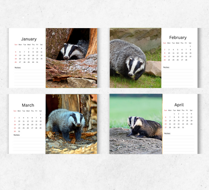Badger Desk Calendar 2026-2027