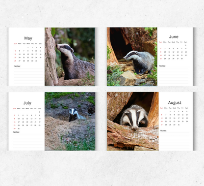 Badger Desk Calendar 2026-2027