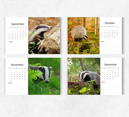 Badger Desk Calendar 2026-2027