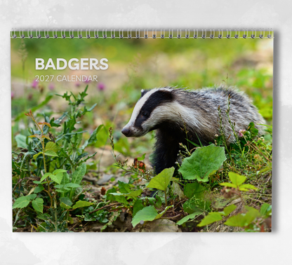 Badger Calendar 2027