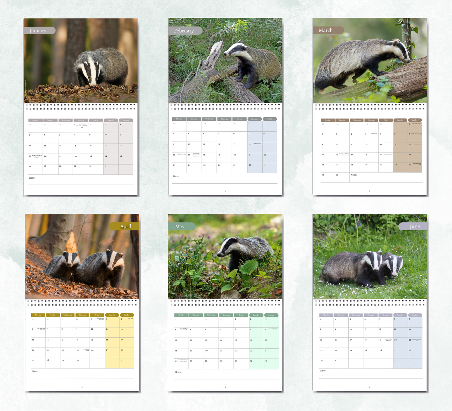 Badger Calendar 2027