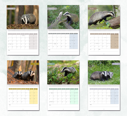 Badger Calendar 2027