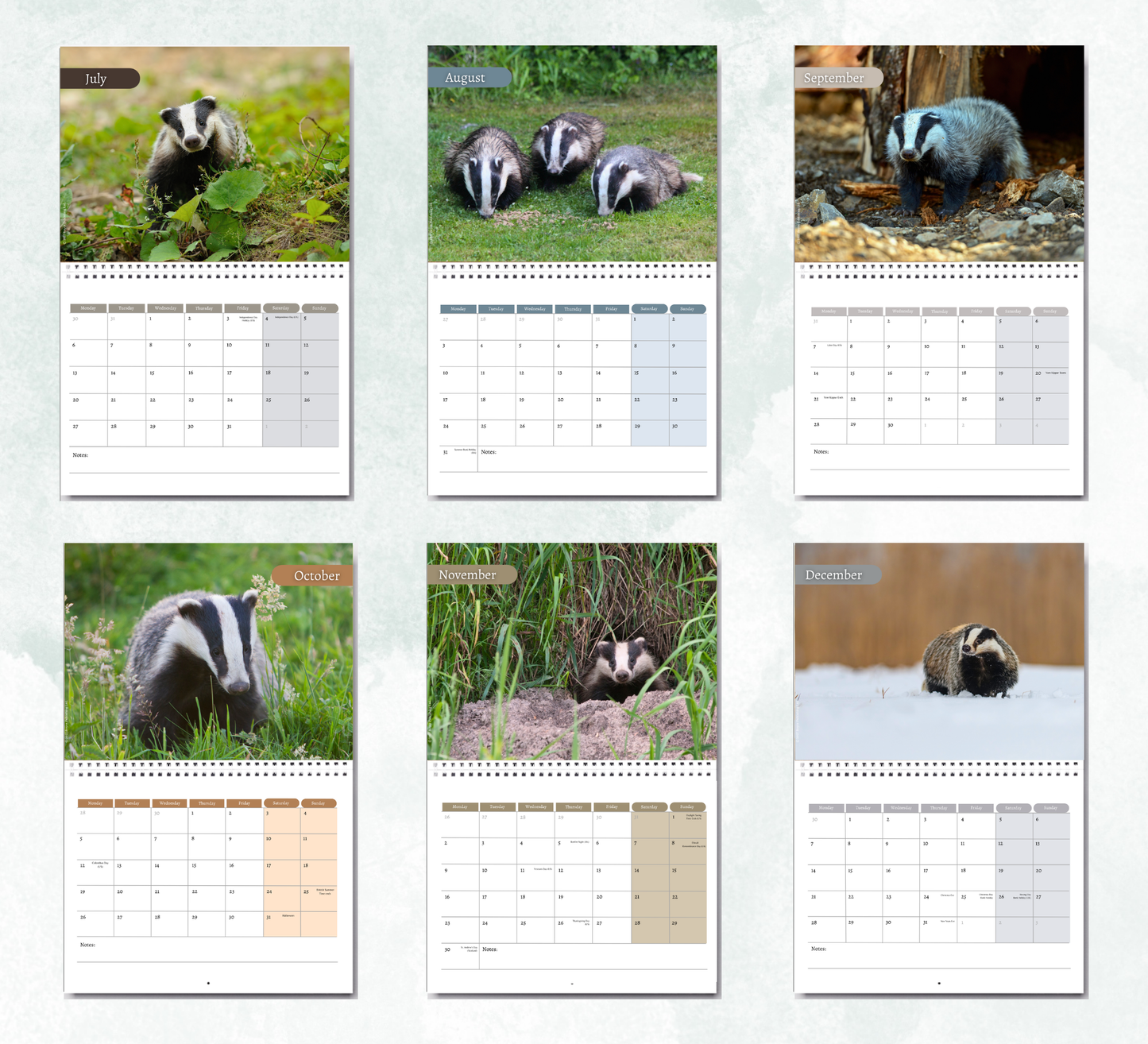 Badger Calendar 2027