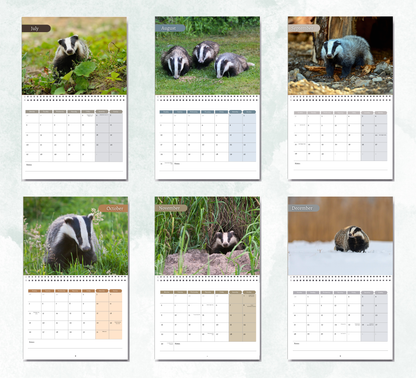 Badger Calendar 2027