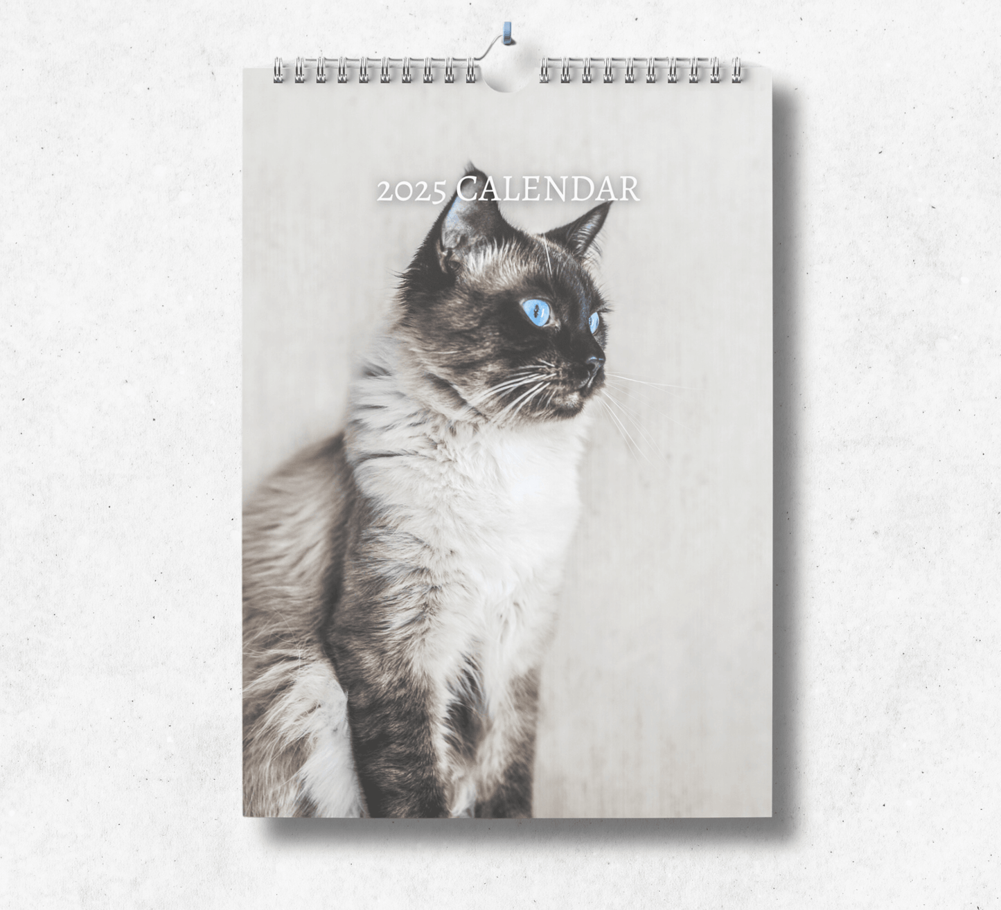 2025 Balinese Cat calendar featuring a bright blue eyed balinese cat on a grey background.