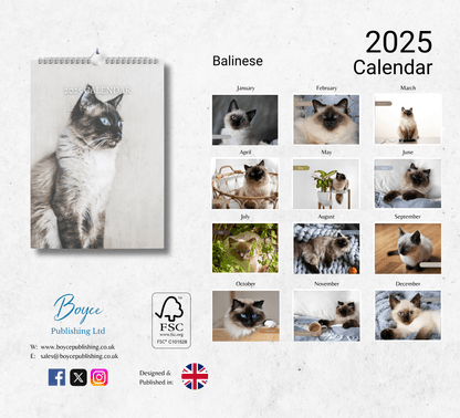 Balinese Cat Calendar 2025