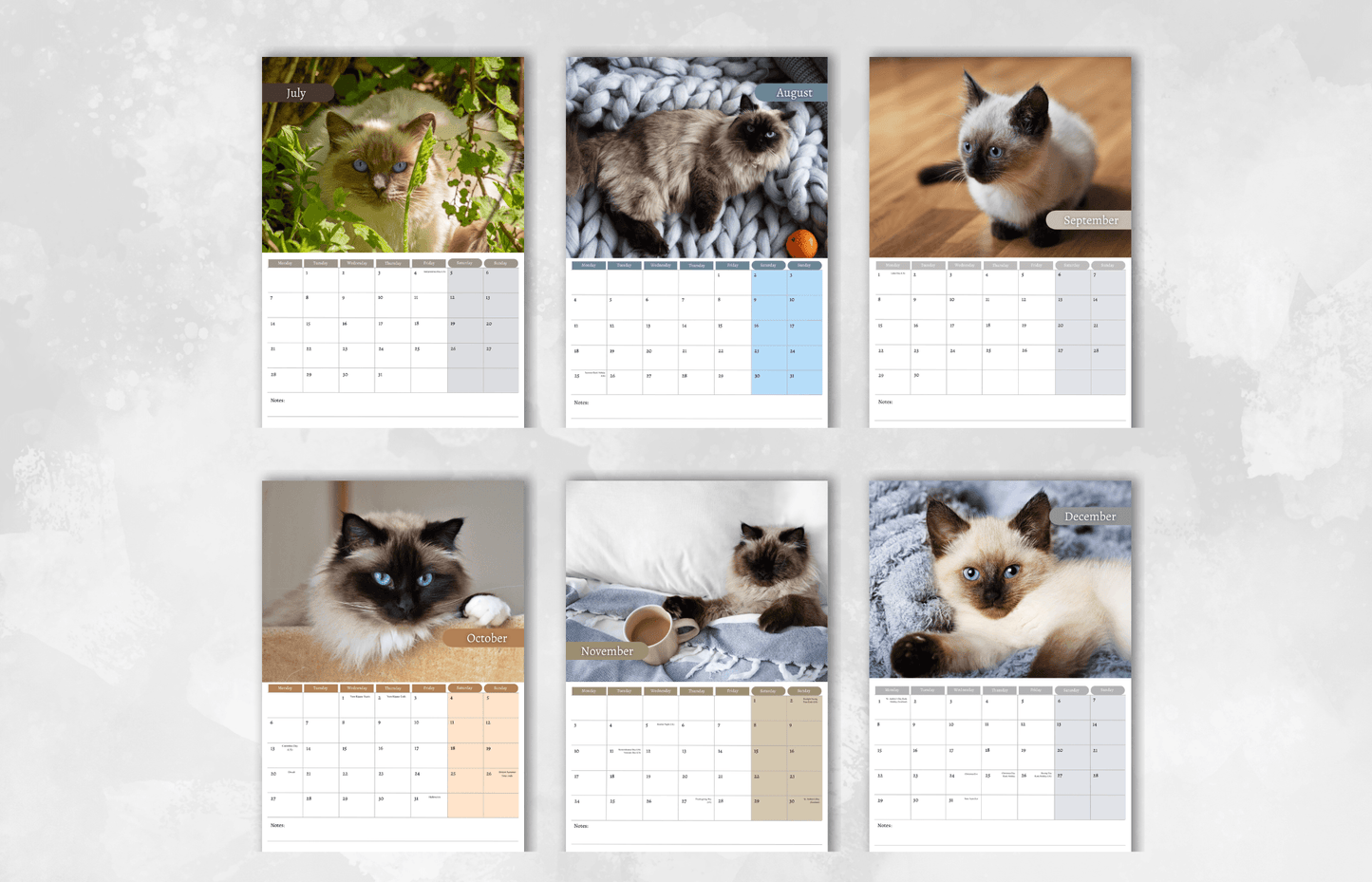 Balinese Cat Calendar 2025