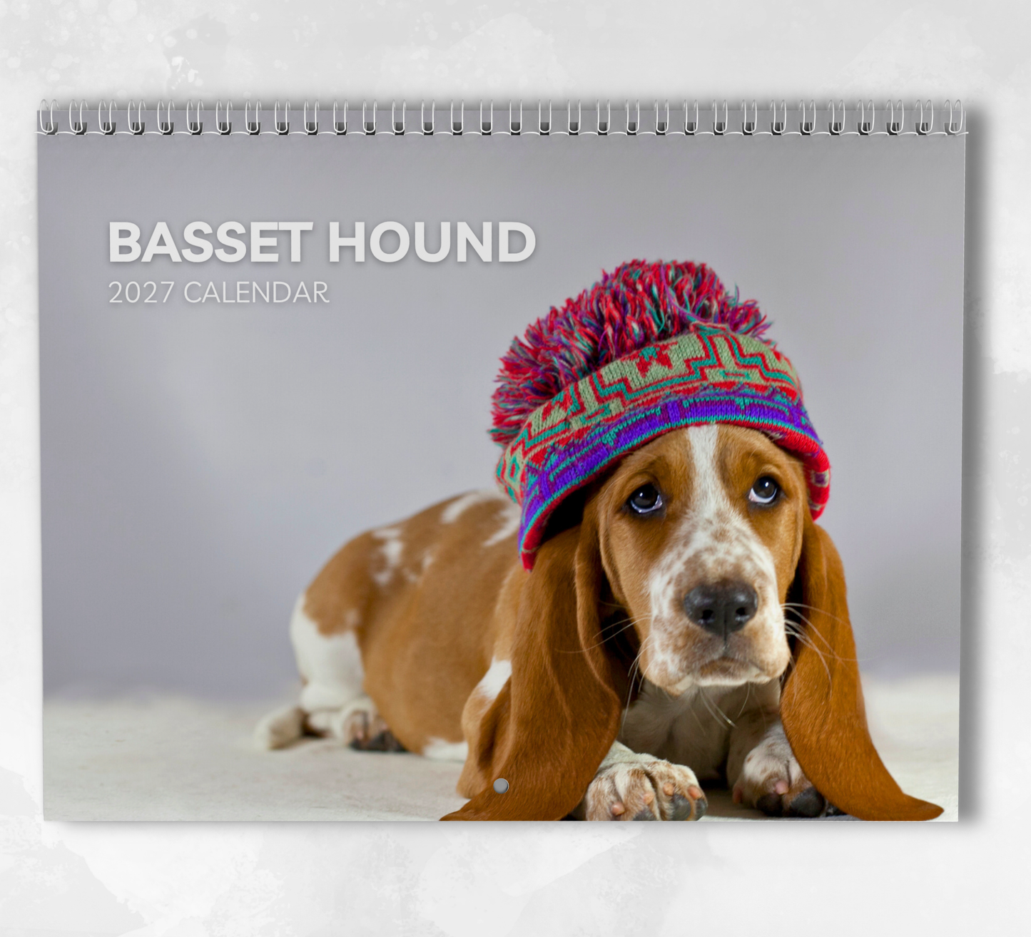 Basset Hound Calendar 2027