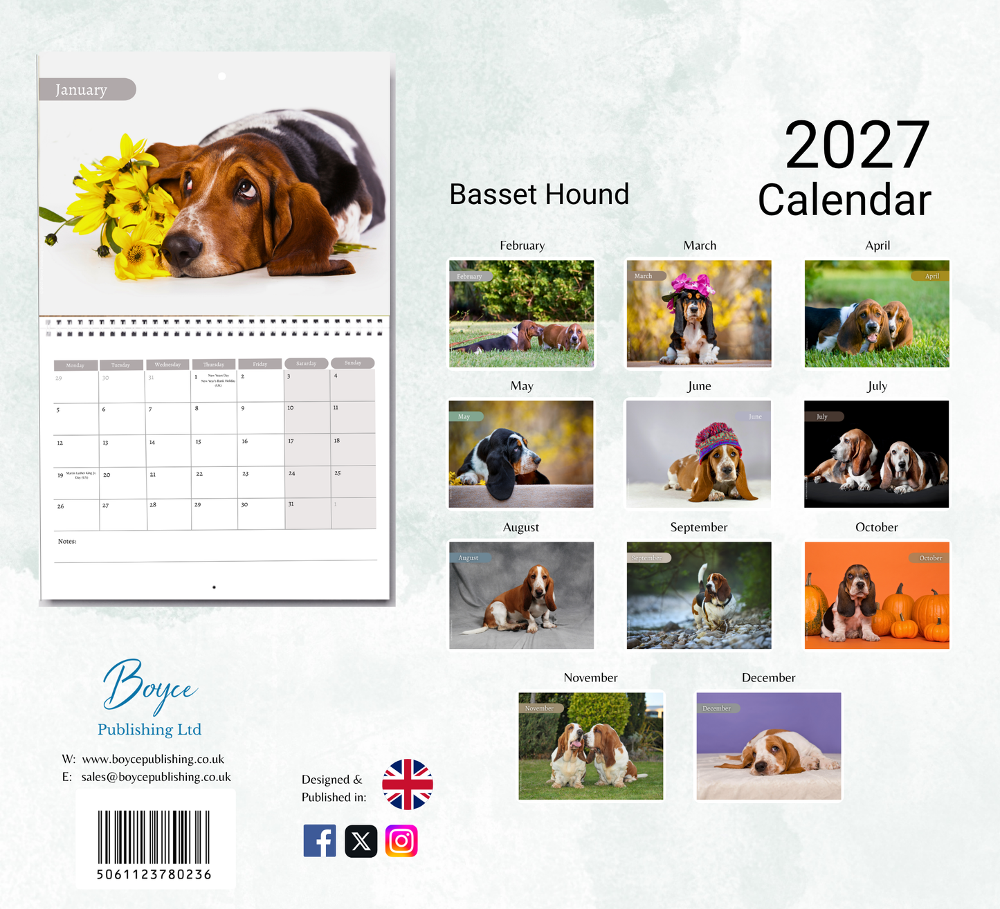 Basset Hound Calendar 2027