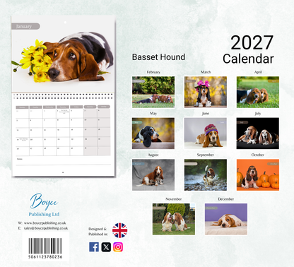 Basset Hound Calendar 2027