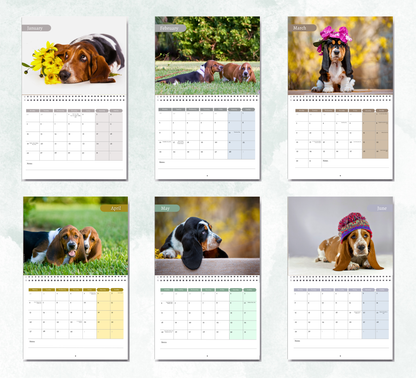 Basset Hound Calendar 2027