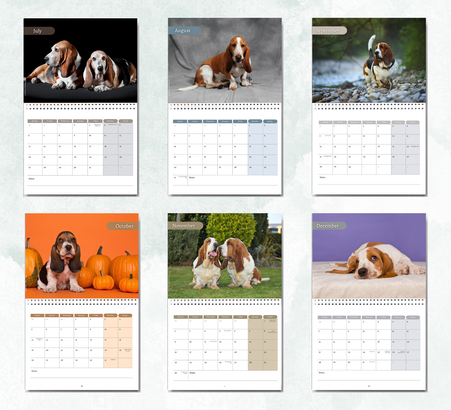 Basset Hound Calendar 2027