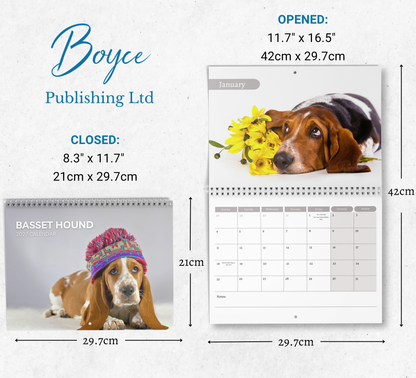 Basset Hound Calendar 2027