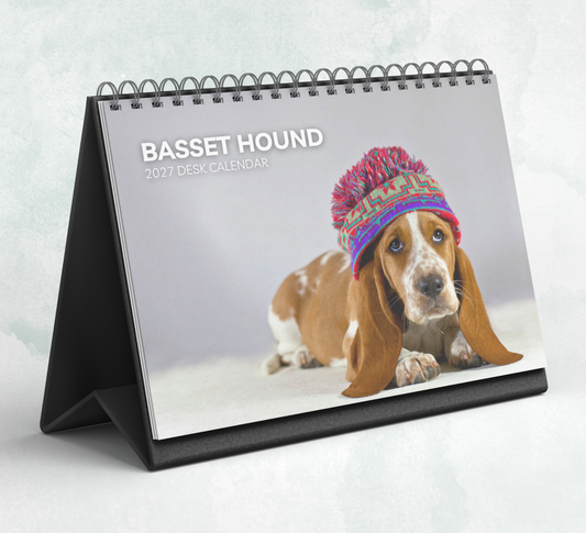Basset Hound Desk Calendar 2027-2028