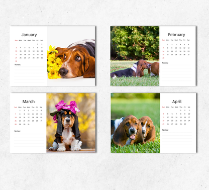 Basset Hound Desk Calendar 2027-2028