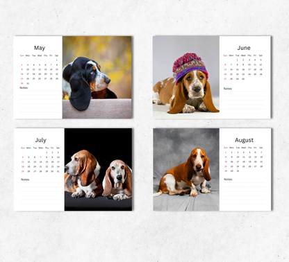 Basset Hound Desk Calendar 2027-2028