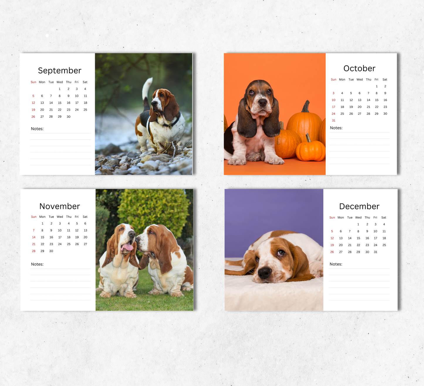 Basset Hound Desk Calendar 2027-2028